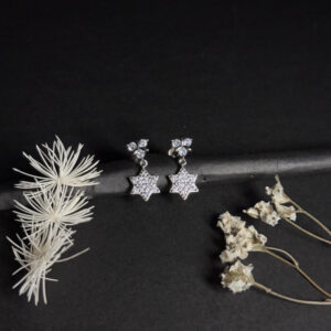 Dazzling 92.5 Silver Star Drop Earrings ✨⭐
