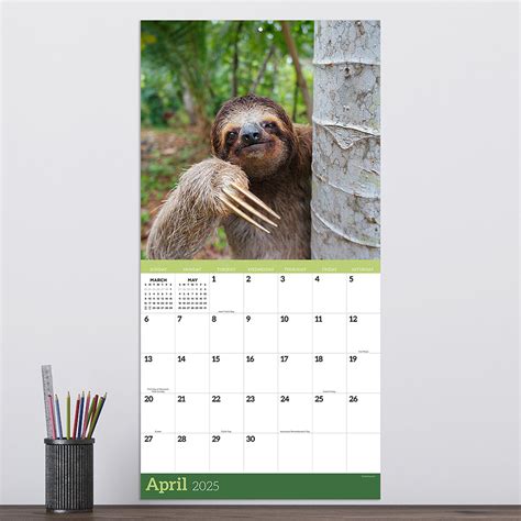 A Sloth Story 2025