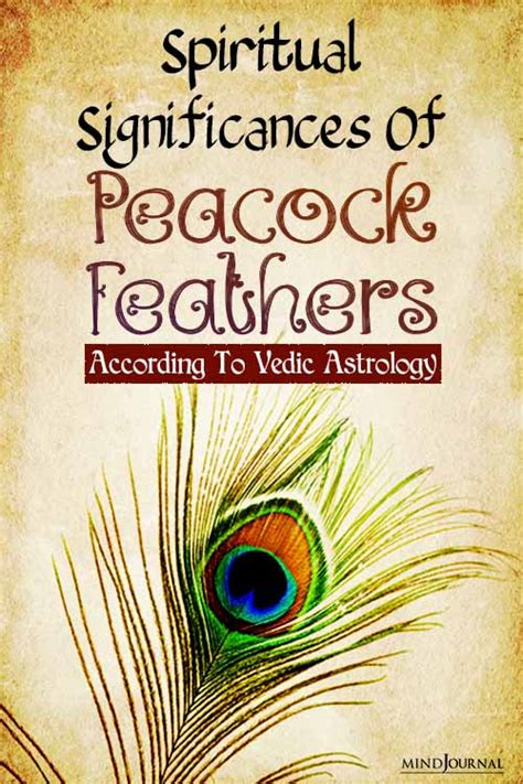 Peacock 2025